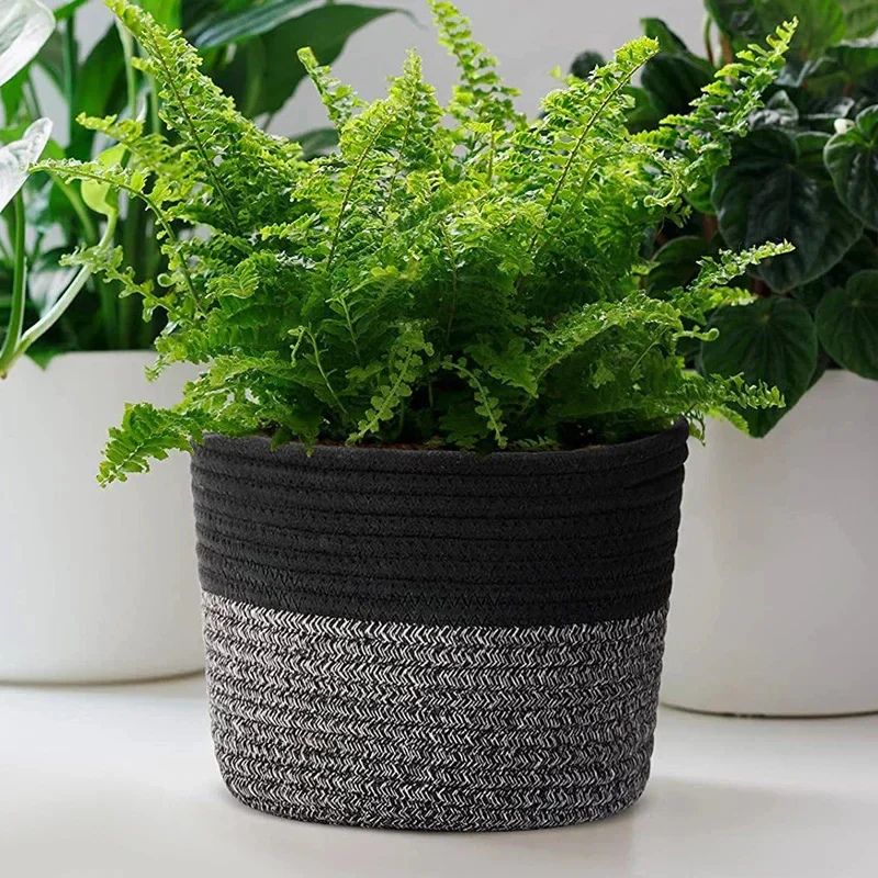 Large Storage Baskets for Blankets – Stylish Laundry Basket Storage